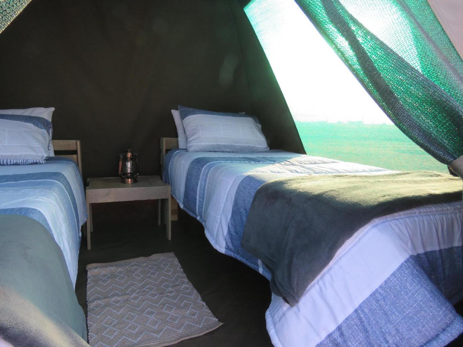 فندق Tropic Of Capricorn Guest Farm Rehoboth الغرفة الصورة