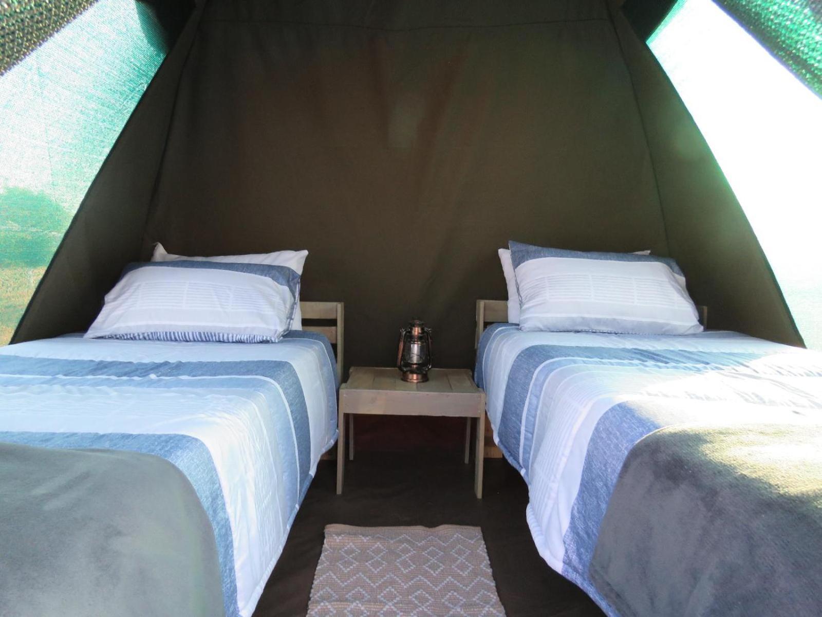 فندق Tropic Of Capricorn Guest Farm Rehoboth الغرفة الصورة